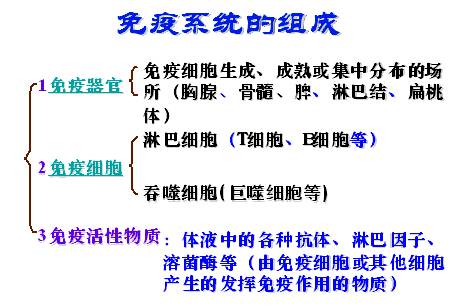 新冠肺炎患者的细胞因子风暴与补体系统有哪些关联 ?